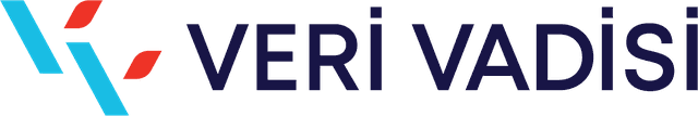 VERİ VADİSİ logosu